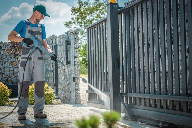 Best Rust Removal  in Collingdale, PA