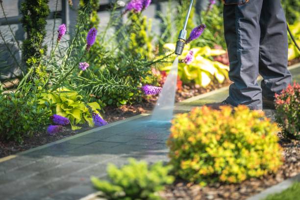 Best Patio and Deck Pressure Washing  in Collingdale, PA